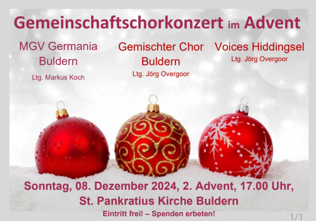Konzert-Buldern-08-12-24.jpeg